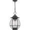 Quoizel Boston Outdoor Hanging Lantern BST1911MB - alternate 3